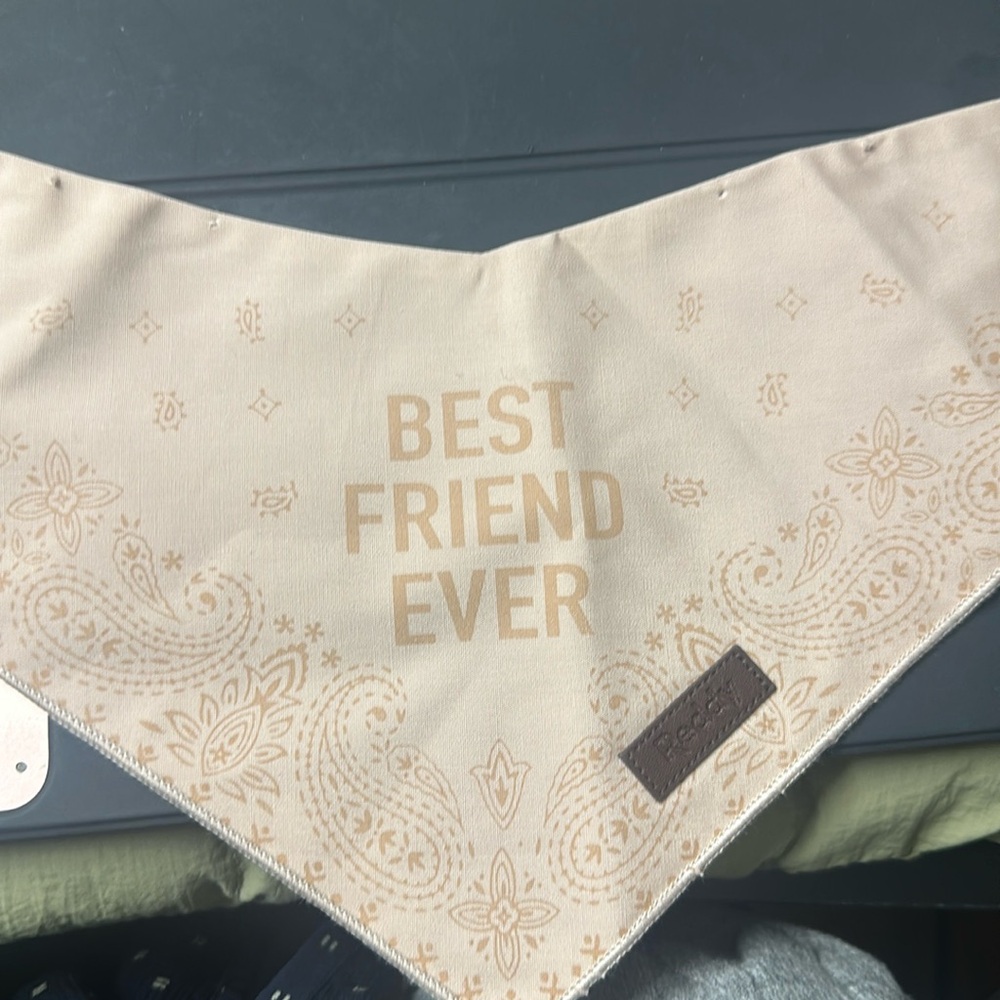 Pink dog bandanna